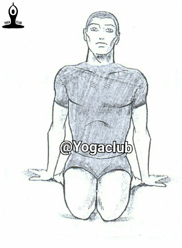 آموزش یوگا تصویر و عکس آموزشی یوگا بهترین حرکات یوگا برای درد کمر و تناسب اندام ورزش یوگا